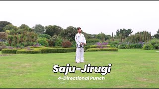 SajuJirugi Fundamental Exercise [upl. by Ethe596]