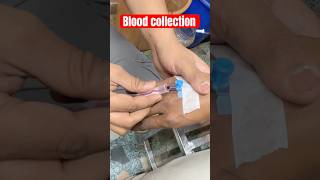 Blood collection bloodcollection bloodsample bld SMpharmacy subscribe [upl. by Berkow]