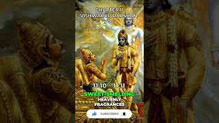 Bhagavad Gita Chapter 11 1110  1111 [upl. by Roos902]