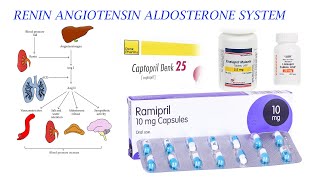 ACE INHIBITORS AND RAAS MECHANISM [upl. by Chi291]