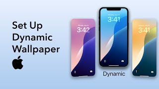 How to Set Up Dynamic Wallpaper on iPhone [upl. by Tarabar]