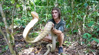 Worlds Most VENOMOUS Snakes DOCUMENTARY King CobraInland TaipanReticulated Python [upl. by Hguh]