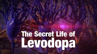 The Secret Life of Levodopa [upl. by Raamaj]