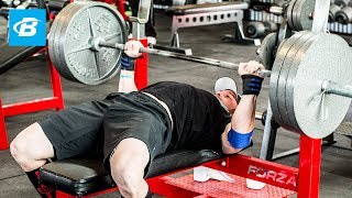 How To Bench Press Layne Nortons Complete Guide [upl. by Kciregor]