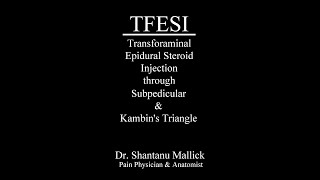 TFESI through Subpedicular amp Kambins triangle approach [upl. by Ulda]