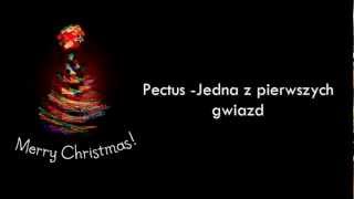 Świąteczne piosenki po polsku  Christmas songs in Polish [upl. by Nohsed541]