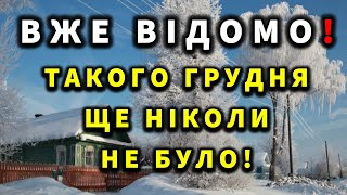 ТАКОГО ГРУДНЯ УКРАЇНЦІ ЩЕ НЕ БАЧИЛИ Погода зимою 2024  2025 [upl. by Ramor]