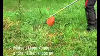 Klippteknik grunderna vid högt gräs Röjsåg och trimmer Guide och instruktion från STIHL [upl. by Nnylear235]