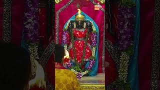 राजाधिराज द्वारकाधीश जी के मङ्गला आरती दर्शन 🙏🏻 manglaaarti shreedwarkadhishjagadmandirdwarka [upl. by Wilber776]