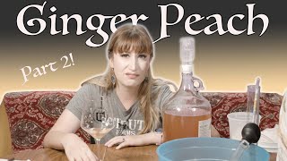 Ginger Peach Mead  Part 2 Help Me Fix This [upl. by Ahkos]