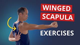 4 Exercises to Fix Winged Scapula amp Build STABLE Shoulder Blades [upl. by Vitkun]