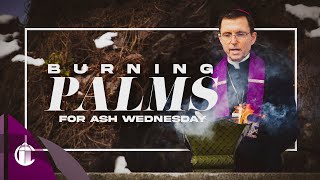 Where Do Ash Wednesday Ashes Come From [upl. by Fraser480]