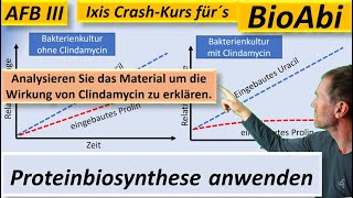 Proteinbiosynthese – Anwendungsaufgaben 1a – AFB III  Bestnoten im BioAbi mit BioIxi [upl. by Ajdan488]