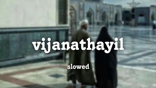 vijanathayil slowed udaharanam sujatha [upl. by Tapes127]