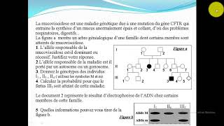 Exercice 1 la génétique humaine [upl. by Niras]