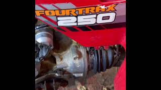 1986 Honda TRX 250 Fourtrax Electric Start Repair [upl. by Dardani898]