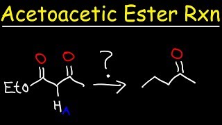 Acetoacetic Ester Synthesis Reaction Mechanism [upl. by Ecinnaj53]