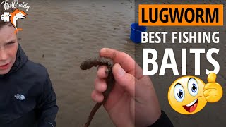 Lugworm Fishing Bait Pumping Lugworms  👉 How To Pump for Lugworm [upl. by Otanod462]