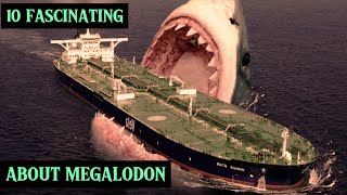 Discovering Megalodon 10 Intriguing Insights into the Colossal Predator shorts [upl. by Sykes462]