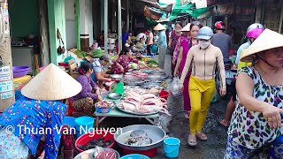 Vietnam  Exploring Mekong Delta [upl. by Bob]