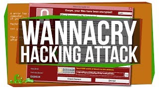 Why Was the WannaCry Attack Such a Big Deal [upl. by Anor]