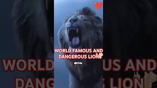 World famous and dangerous Lion King ❌😱❓ lion [upl. by Mable]