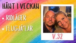 Hänt i veckan på vår hästgård Vecka 32 [upl. by Ehtylb]