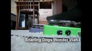 SNARLING DOGS Wonder Wah mod vs BUDDA Wah Purple label [upl. by Tegdig105]