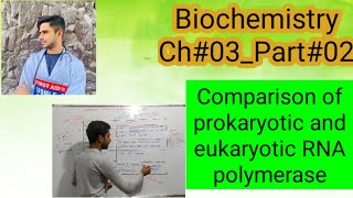 Comparison of Prokaryotic and Eukaryotic RNA PolymerasesBiochemistryCh03Part02 [upl. by Paulsen]