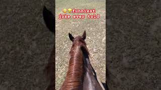 😳😳only 10 get this joke 😳😂 horse cowboys equestrian western shorts shortvideo vidiq [upl. by Rame]