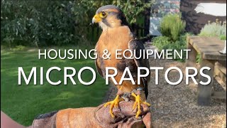 FALCONRY Micro Raptors housing and furniture [upl. by Assilac]