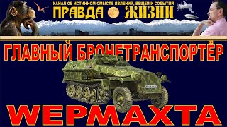 SdKfz 251 главный бронетранспортёр вермахта [upl. by Haukom707]