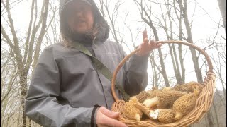 Morels amp More MidApril Mushroom Hunting [upl. by Evilc510]