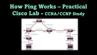 How Ping Works – Practical Cisco Lab  CCNACCNP Study [upl. by Hepzi883]