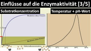 Einflüsse auf die Enzymaktivität Substratkonzentration Temperatur pHWert RGTRegel  35 [upl. by Adkins]