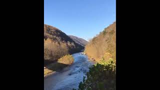 Potomac Eagle Scenic Railroad  Fall in the Trough [upl. by Zebedee789]