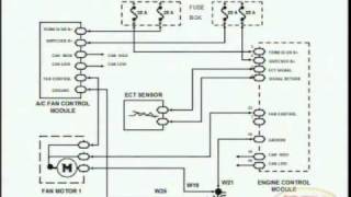 Cooling Fans amp Wiring Diagram [upl. by Gloriana200]