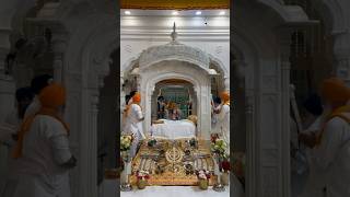 Waheguru ji  Gurudwara Fatehgarh Sahib  Darshan live gurudwarasahib gurbanistatus wmk yt [upl. by Yeldud36]