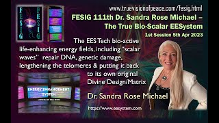 FESIG 111th Dr Sandra Rose Michael – The True BioScalar EESystem [upl. by Sugna635]