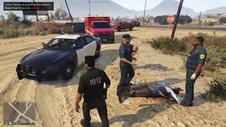 LSPDFR  DIA 68 LAPD  🚔ME PEGAN DURO EN LA CARA🚔 LSPDLSPDFR [upl. by Corbin]