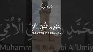 Darood Pak shortsvideo islamicvideo mohammad [upl. by Nedmac976]