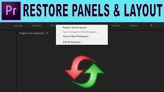 Restore Missing Panels and Adjust Layout  Adobe Premiere Pro Tutorial [upl. by Mulford163]