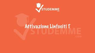 Attivazione linfociti T  VIDEO RIASSUNTO IMMUNOLOGIA E IMMUNOPATOLOGIA COMPLETO [upl. by Ayota]