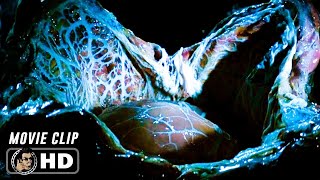 Exploring The Alien Spaceship Scene  ALIEN 1979 Movie CLIP HD [upl. by Eniowtna404]