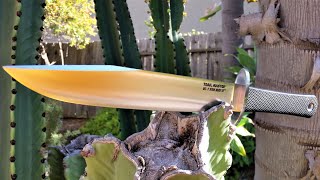 Cold Steel Trailmaster VG1 San Mai III The Nicest Large Laminate Fixed Blade For The Cost [upl. by Heilner]