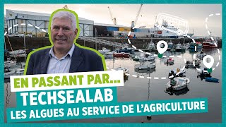 Les algues au service de l’agriculture durable  échange avec André Yvin de TechSeaLab [upl. by Annahsirhc]