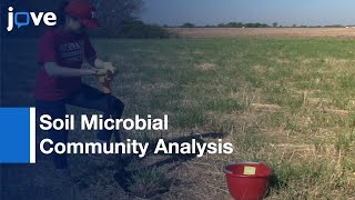 Soil Microbial Community Analysis [upl. by Clardy]