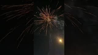 FTW 49 Shot Firework [upl. by Irot410]