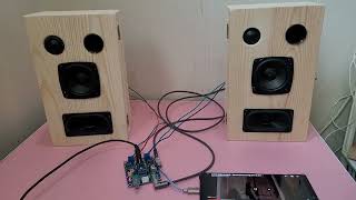 DIY HAMAN KARDON SPEAKER TEST TPA3118D2 CTYPE DAC 하만카돈 hamankardon TPA3118D2 [upl. by Ocirrej]