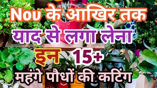 Nov के आखिर तक जरूर लगाना 15महंगे पौधों की कटिंग सबसे फास्ट ग्रो होते हैं  plants grow by cutting [upl. by Yartnoed]